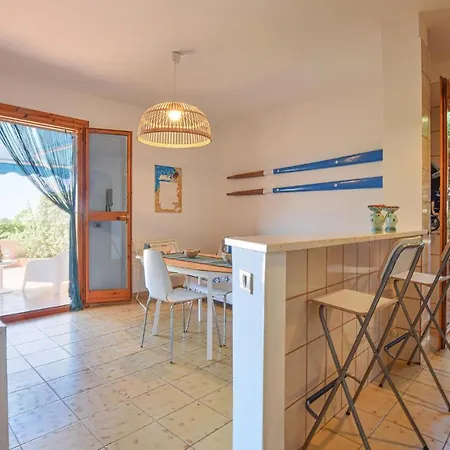 Apartment Cozy In With Kitchen